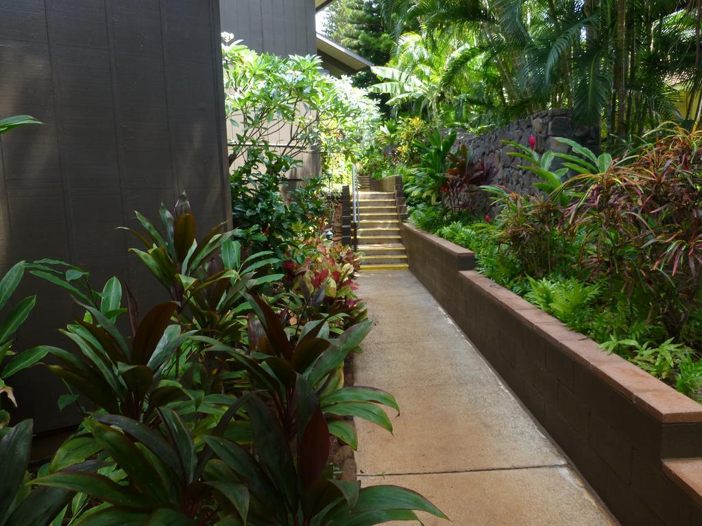 Mahina Surf 220 By Redawning Aparthotel Lahaina Exterior photo