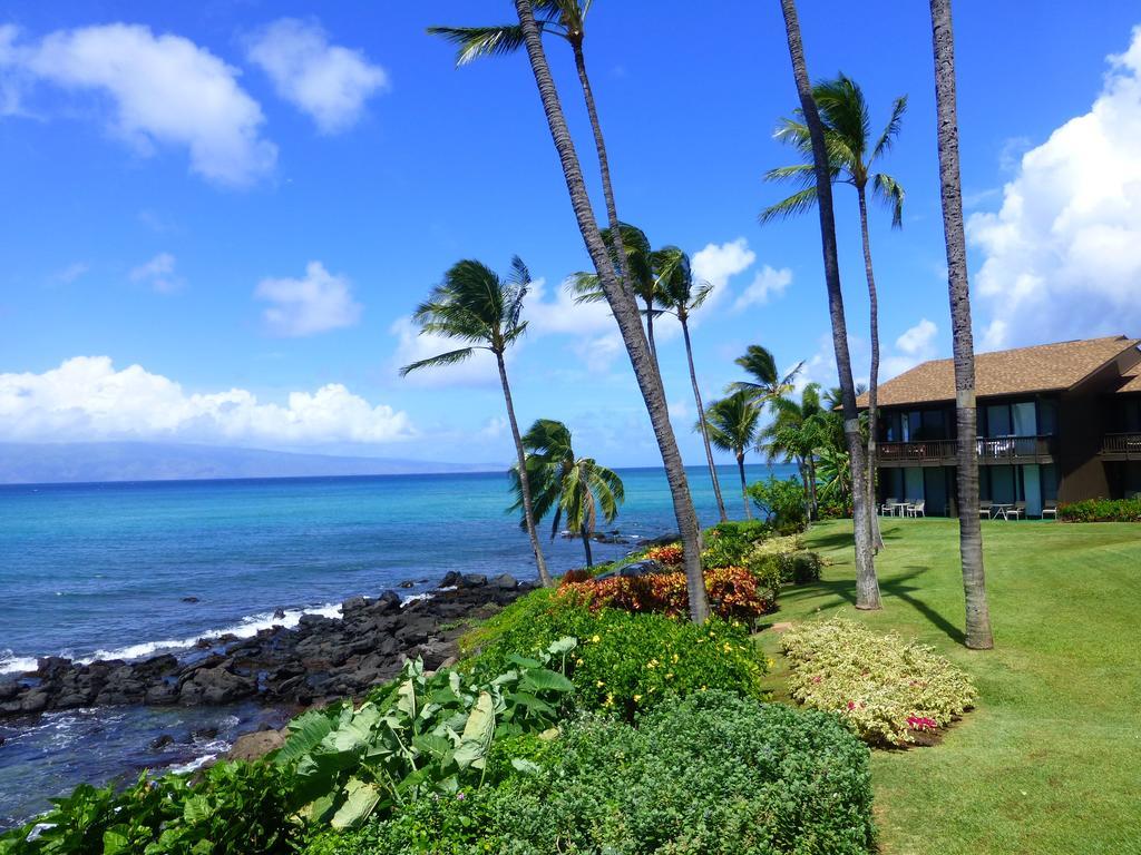 Mahina Surf 220 By Redawning Aparthotel Lahaina Exterior photo