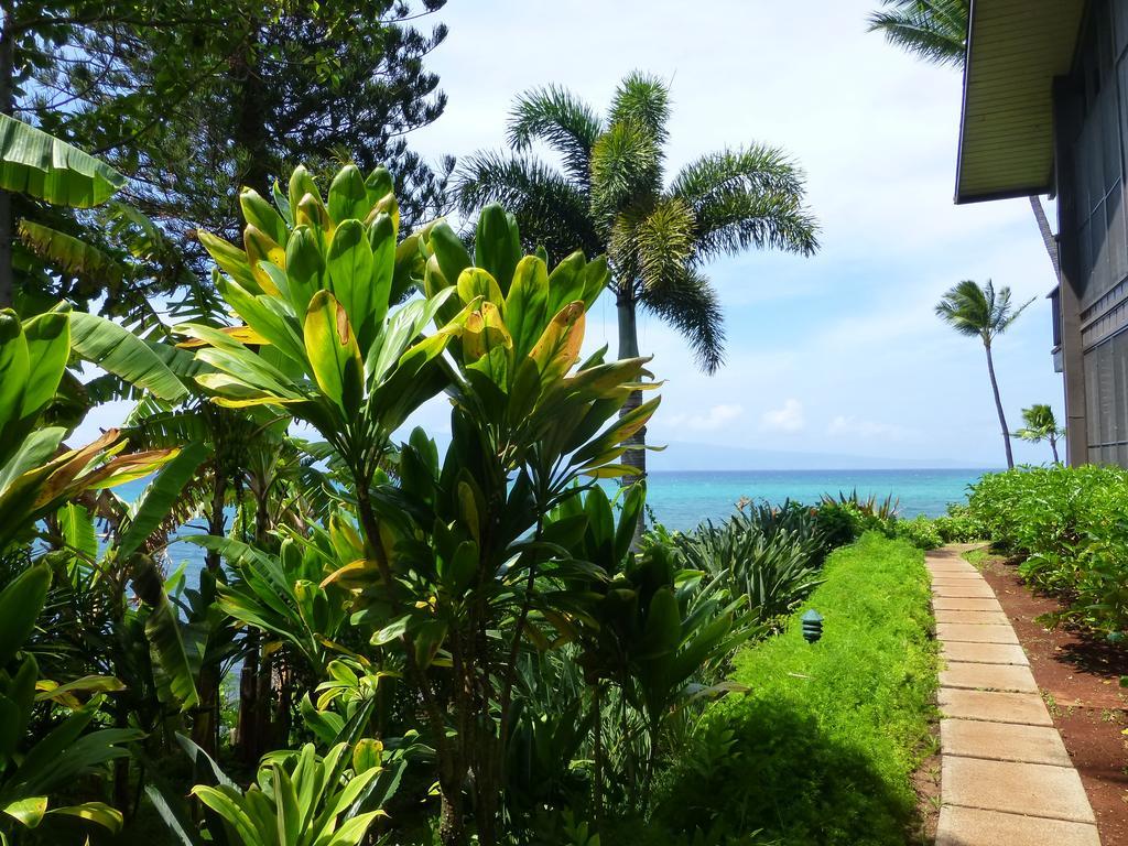 Mahina Surf 220 By Redawning Aparthotel Lahaina Exterior photo