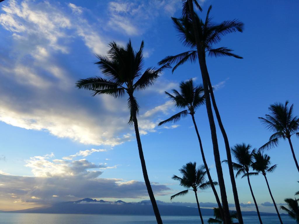 Mahina Surf 220 By Redawning Aparthotel Lahaina Exterior photo