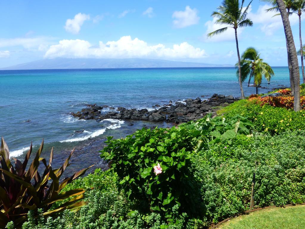 Mahina Surf 220 By Redawning Aparthotel Lahaina Exterior photo